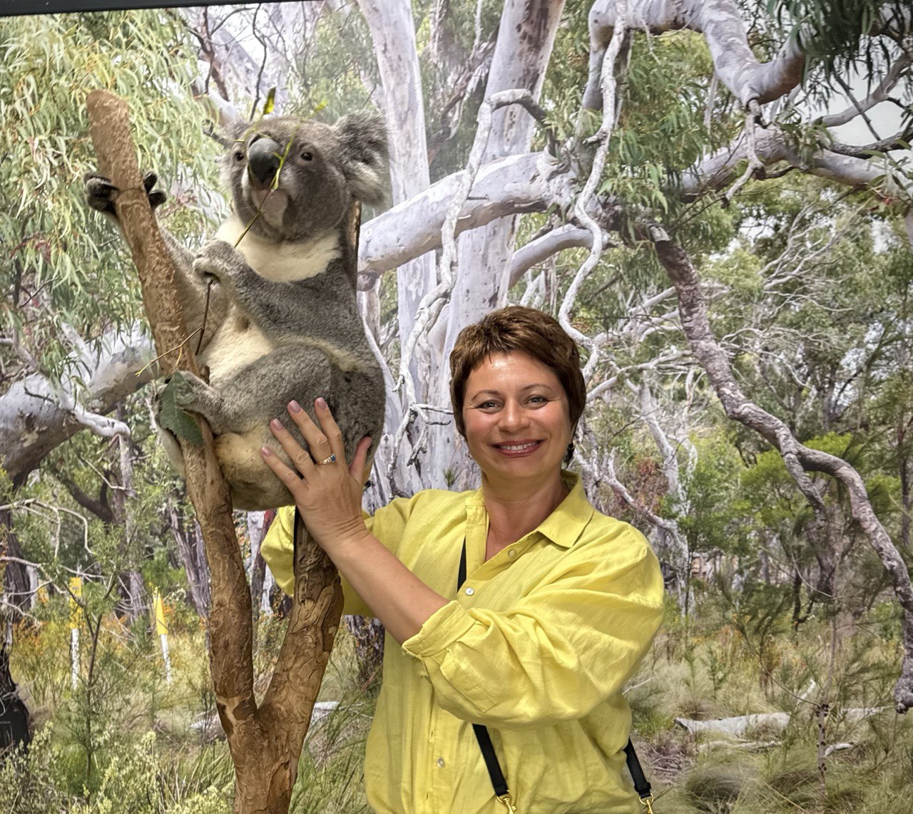 Дайджест октября